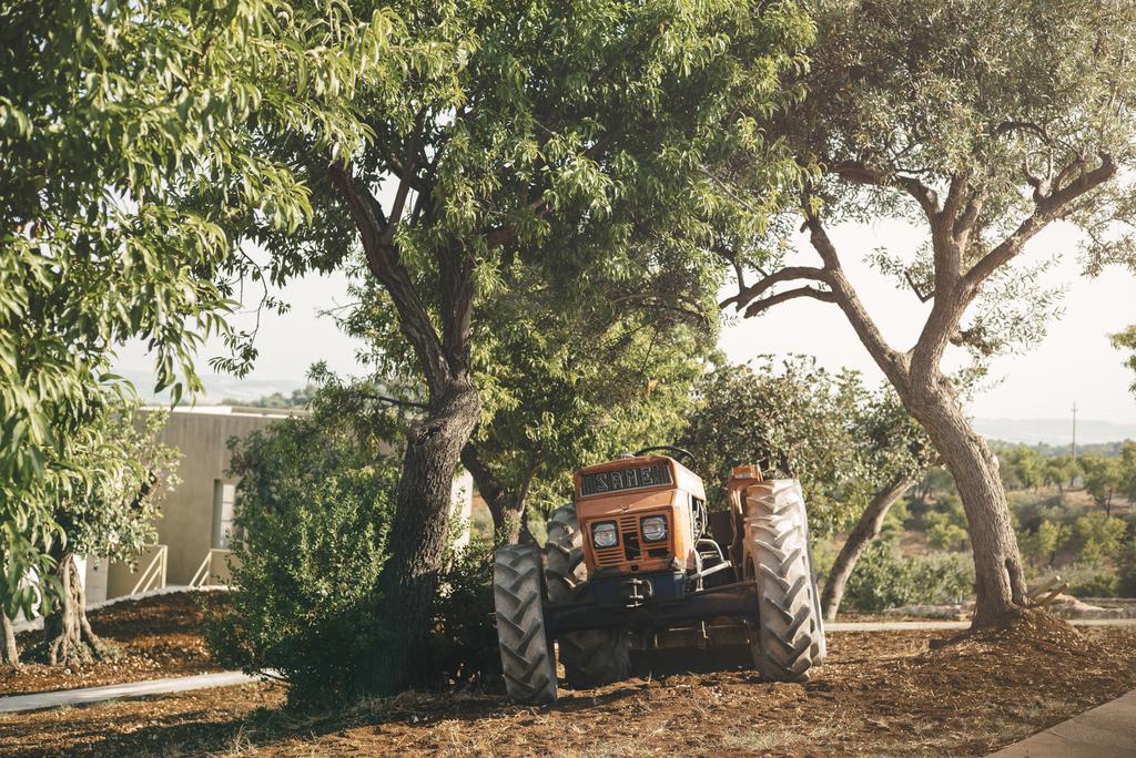 Country House Villadorata Noto Dış mekan fotoğraf