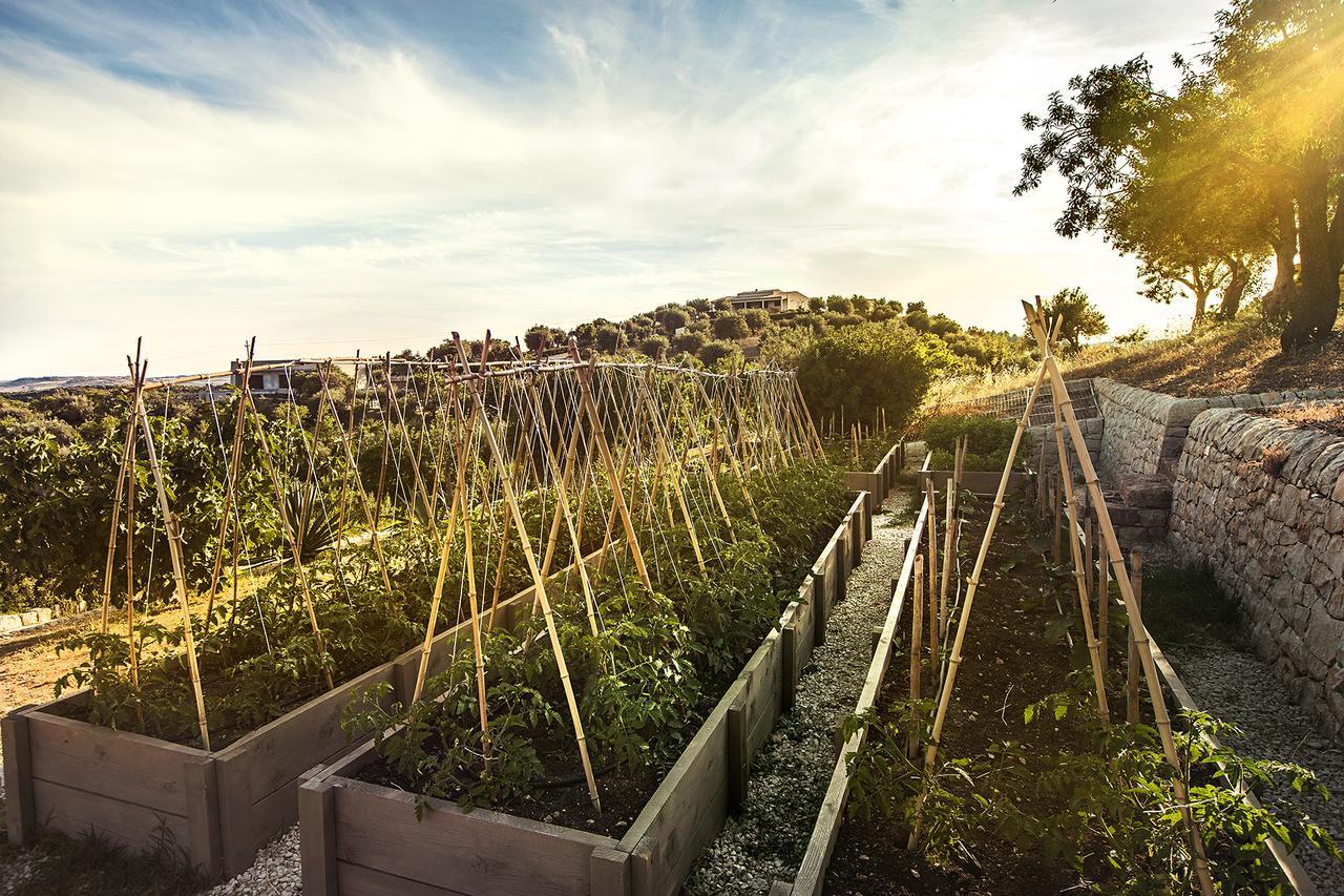 Country House Villadorata Noto Dış mekan fotoğraf